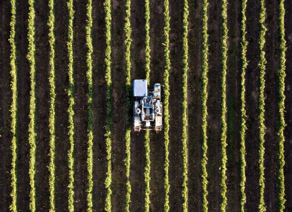 planejamento da safra 2021/2022